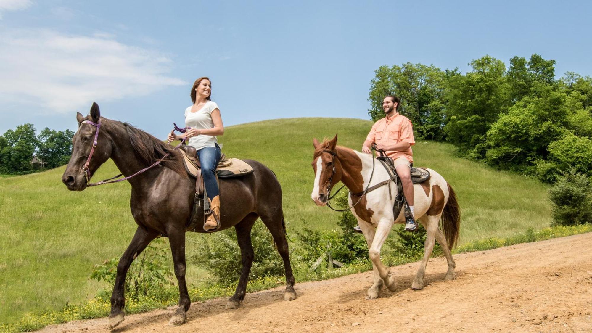 A Walk In The Clouds By Eden Crest Sevierville Exterior foto